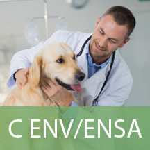 Préparation C ENV/ENSA en présence, distance, stages Paris, Toulouse, Lyon : devenir vétérinaire 